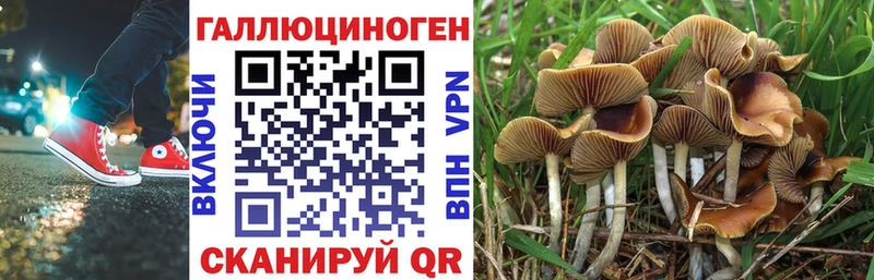 Псилоцибиновые грибы прущие грибы Сенгилей
